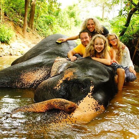 Jungle Village Homestay Pinnawala  Exteriör bild