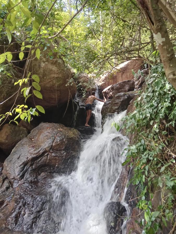 Jungle Village Homestay Pinnawala  Exteriör bild