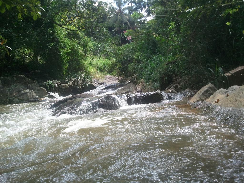 Jungle Village Homestay Pinnawala  Exteriör bild