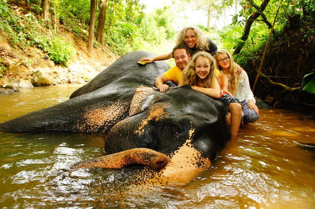 Jungle Village Homestay Pinnawala  Exteriör bild
